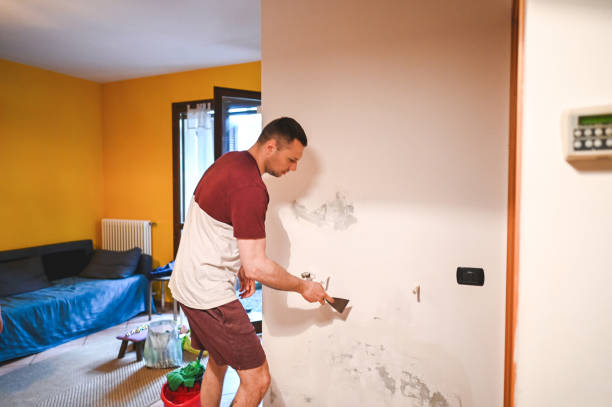 Best Affordable Mold Removal  in Port Washington, WI