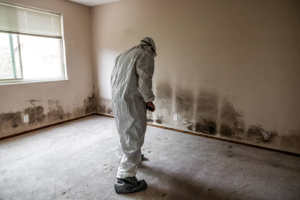 Best Office Mold Removal Services  in Port Washington, WI