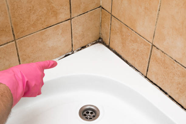 Best Crawl Space Mold Removal  in Port Washington, WI